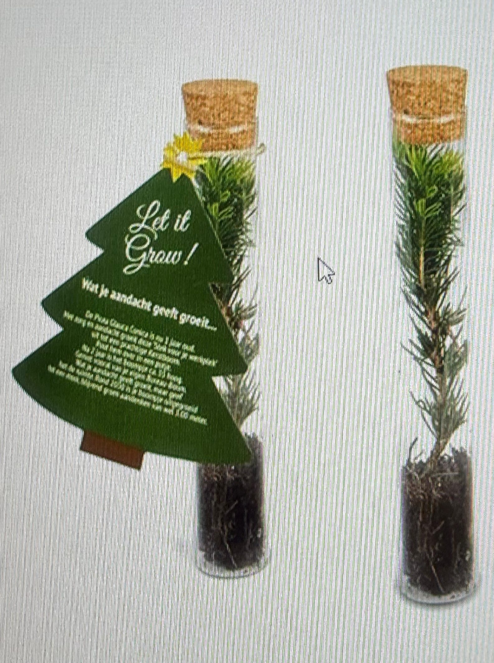 Wellness Pakketje #1 Gratis Kerstboom in glazen tube - Afbeelding 2
